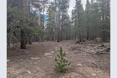 663 Spruce Drive, Twin Lakes, CO 80461 - Photo 13