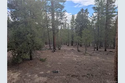663 Spruce Drive, Twin Lakes, CO 80461 - Photo 9