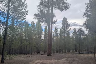 663 Spruce Dr, Twin Lakes, CO 80461 - Photo 1