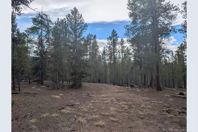663 Spruce Drive, Twin Lakes, CO 80461 - Photo 3