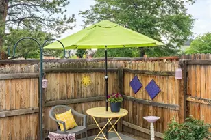 157 S Quicksilver Ave, Castle Rock, CO 80104 - Photo 29