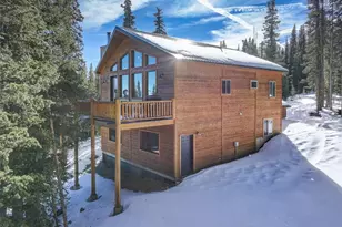 49 Silverheels Crossing, Fairplay, CO 80440 - Photo 7