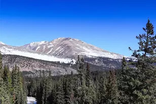 49 Silverheels Crossing, Fairplay, CO 80440 - Photo 43