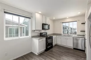 18667 E 54th Pl, Denver, CO 80249 - Photo 9