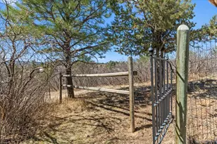 847 Coronado Dr, Sedalia, CO 80135 - Photo 31