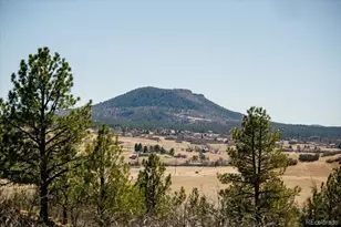 847 Coronado Dr, Sedalia, CO 80135 - Photo 41