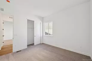 6108 Oban Rd, Timnath, CO 80547 - Photo 3