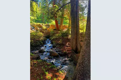 926 Nuthatch Drive, Alma, CO 80420 - Photo 9