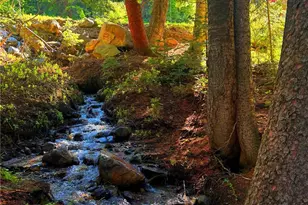 926 Nuthatch Dr, Alma, CO 80420 - Photo 9