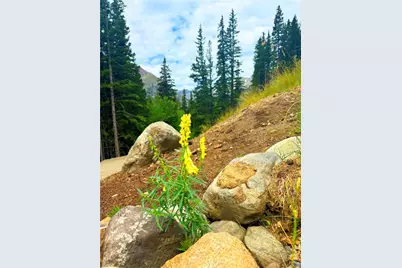 926 Nuthatch Drive, Alma, CO 80420 - Photo 35