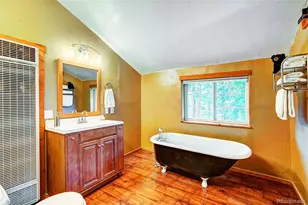 926 Nuthatch Dr, Alma, CO 80420 - Photo 17