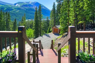 926 Nuthatch Dr, Alma, CO 80420 - Photo 21