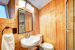 926 Nuthatch Dr, Alma, CO 80420 - Photo 21