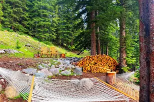 926 Nuthatch Dr, Alma, CO 80420 - Photo 7