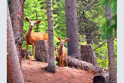 926 Nuthatch Drive, Alma, CO 80420 - Photo 27