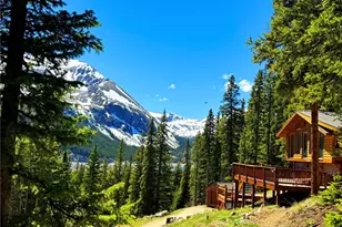 926 Nuthatch Dr, Alma, CO 80420 - Photo 3