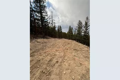 680 Edward E Hill Drive, Twin Lakes, CO 81228 - Photo 3