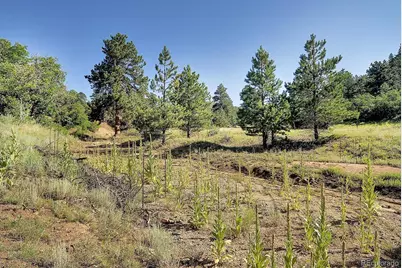1111 Red Feather Road, Cotopaxi, CO 81223 - Photo 37