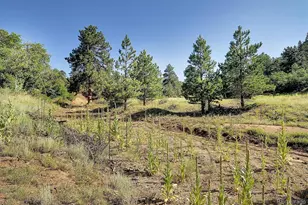 1111 Red Feather Rd, Cotopaxi, CO 81223 - Photo 37
