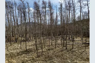 1555 Sheep Ridge Road, Fairplay, CO 80440 - Photo 9