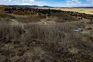 1555 Sheep Ridge Rd, Fairplay, CO 80440 - Photo 1