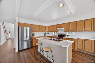 9767 Dampler Way, Highlands Ranch, CO 80130 - Photo 11