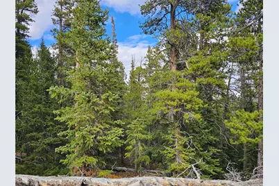 100 Miner"S Way, Fairplay, CO 80440 - Photo 5