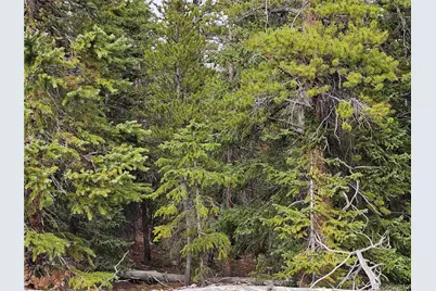 100 Miner"S Way, Fairplay, CO 80440 - Photo 3