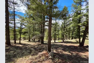 17 Deer Lake Circle, Divide, CO 80814 - Photo 17