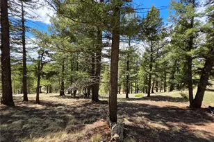 17 Deer Lake Cir, Divide, CO 80814 - Photo 17