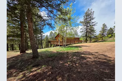 17 Deer Lake Circle, Divide, CO 80814 - Photo 13
