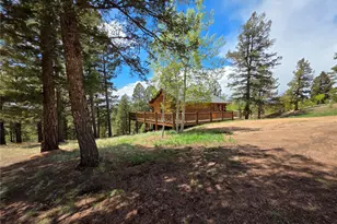 17 Deer Lake Cir, Divide, CO 80814 - Photo 13