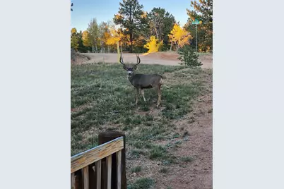 17 Deer Lake Circle, Divide, CO 80814 - Photo 15