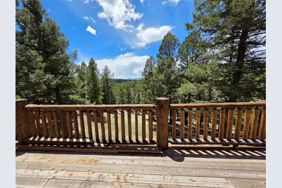 17 Deer Lake Circle, Divide, CO 80814 - Photo 11