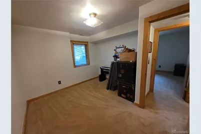17 Deer Lake Circle, Divide, CO 80814 - Photo 49
