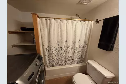 17 Deer Lake Circle, Divide, CO 80814 - Photo 43