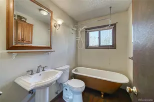 148 Cougar Rd, Leadville, CO 80461 - Photo 33