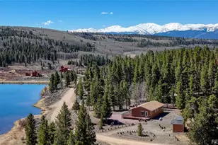 148 Cougar Rd, Leadville, CO 80461 - Photo 9