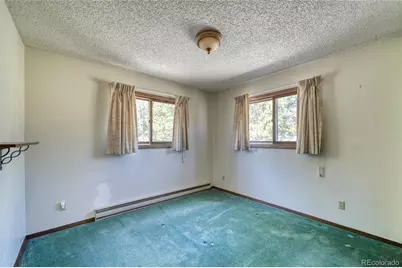 148 Cougar Road, Leadville, CO 80461 - Photo 35