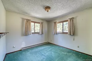 148 Cougar Rd, Leadville, CO 80461 - Photo 35