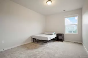 4413 Lyceum Ct, Timnath, CO 80547 - Photo 23