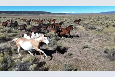 444 W Valley Dr, San Luis, CO 81152 - Photo 1