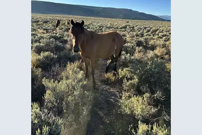 444 W Valley Dr, San Luis, CO 81152 - Photo 11