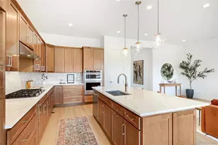 463 Basin Daisy St, Castle Rock, CO 80104 - Photo 7
