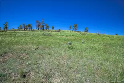 Joyce Road, Fort Garland, CO 81133 - Photo 5
