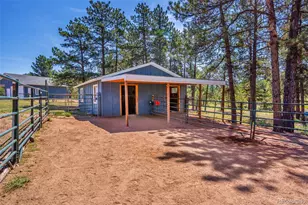 451 Thunder Trail, Canon City, CO 81212 - Photo 39