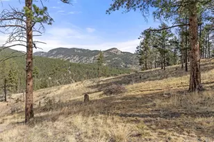 2205 James Park Trail, Loveland, CO 80537 - Photo 31