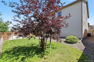 4709 Helena St, Denver, CO 80239 - Photo 37
