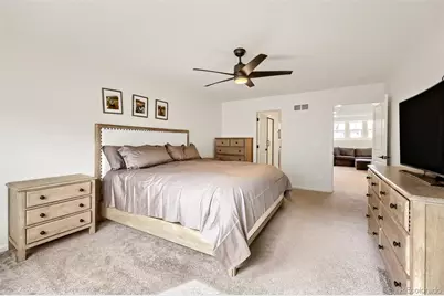 209 Felicity Loop, Castle Rock, CO 80109 - Photo 19