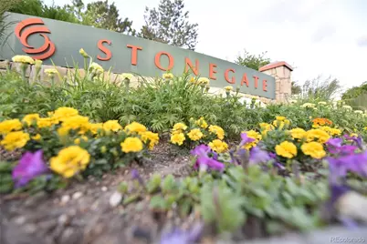 10549 Winterflower Way, Parker, CO 80134 - Photo 17